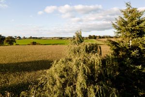 Views over adjoining fields- click for photo gallery